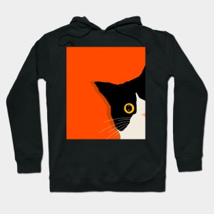 Cat spying you Hoodie